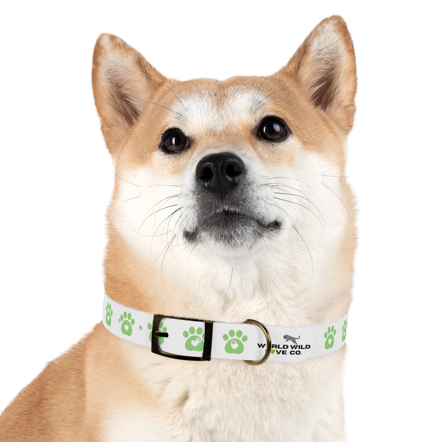 WWL Dog Collar with Paw Print Design | Cute Pet Accessory