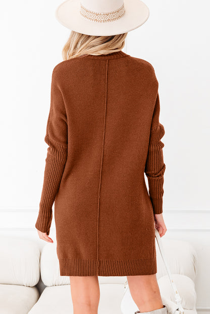 Chestnut Ribbed High Neck Front Pockets Center Seam Shift Sweater Dress