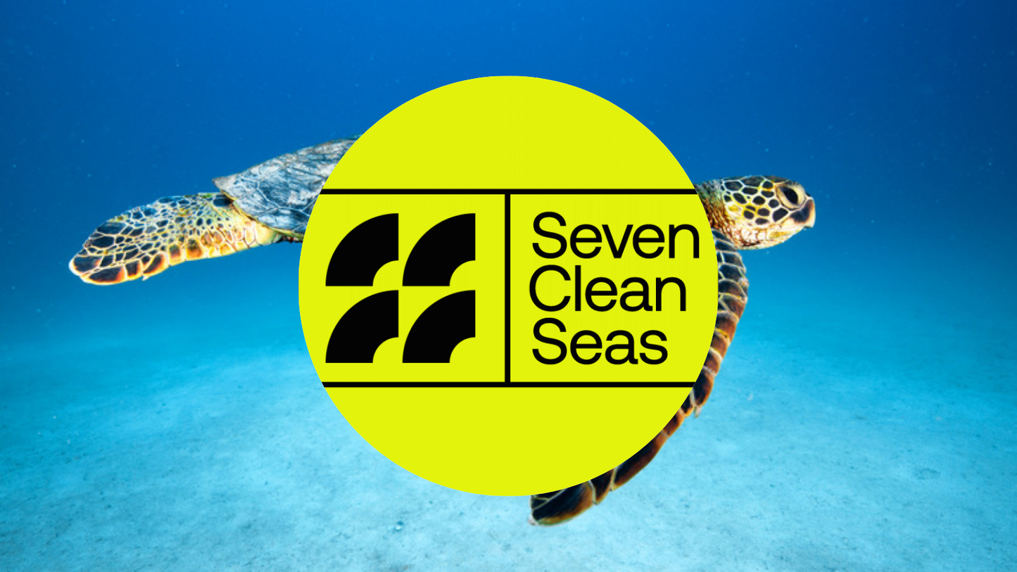 Remove plastic from the ocean