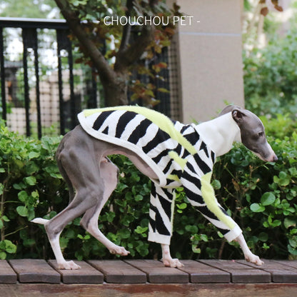 Autumn and Winter Turtleneck Pet Sweater