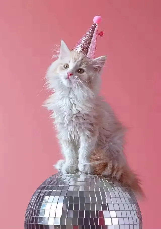 Charming Animal Frameless Canvas Art Prints