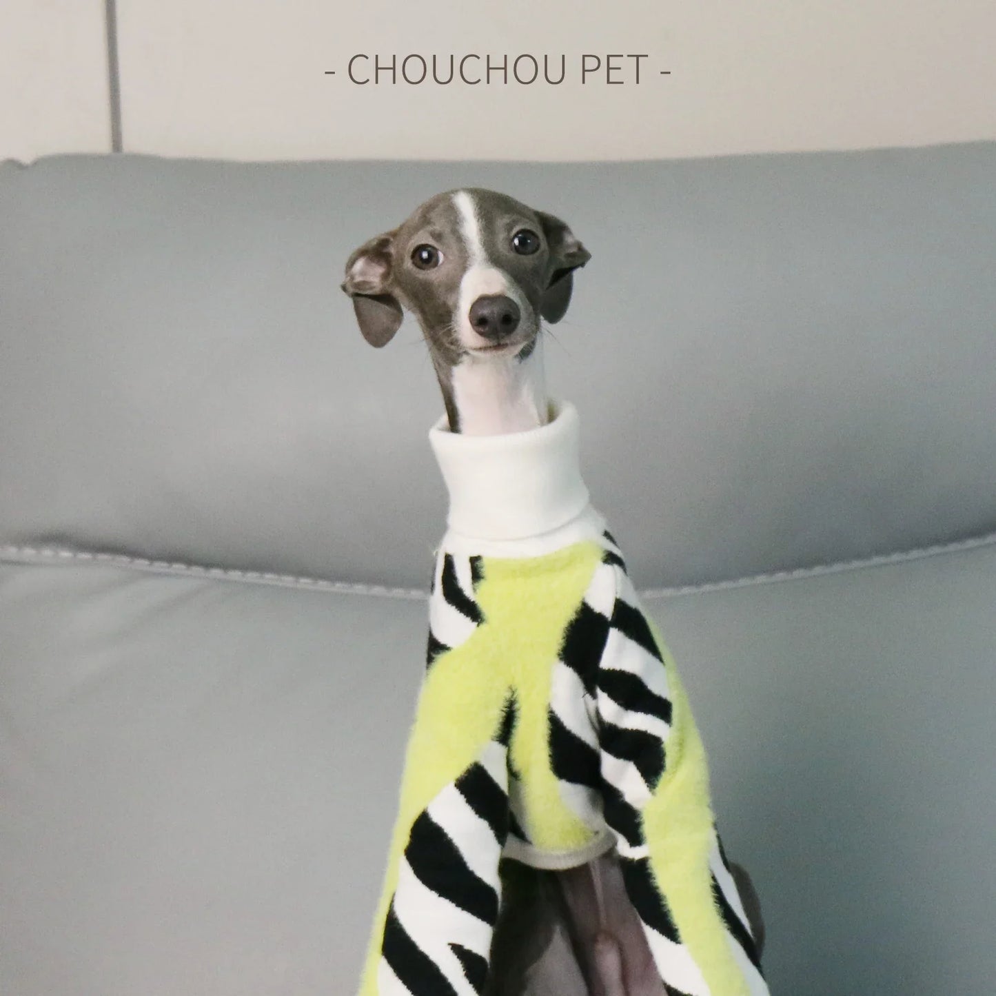 Autumn and Winter Turtleneck Pet Sweater